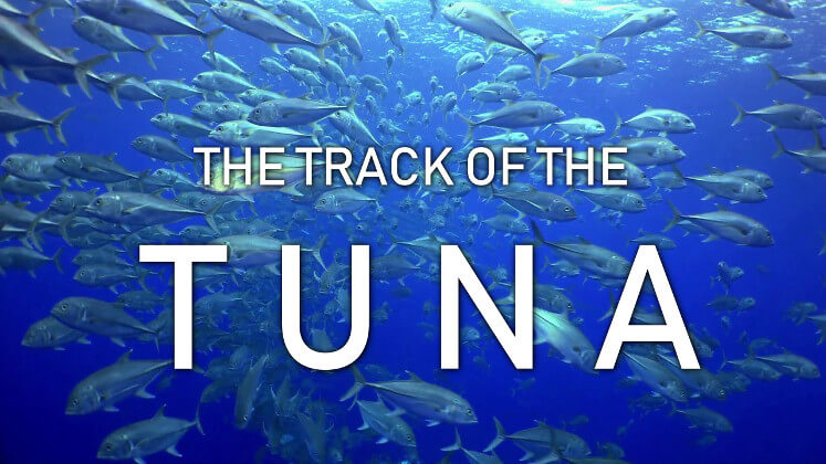 documentary