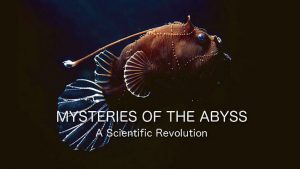 Mysteries of the Abyss