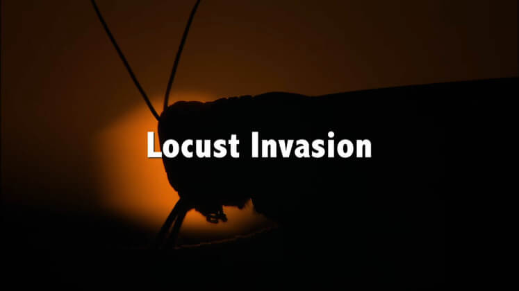 documentary
