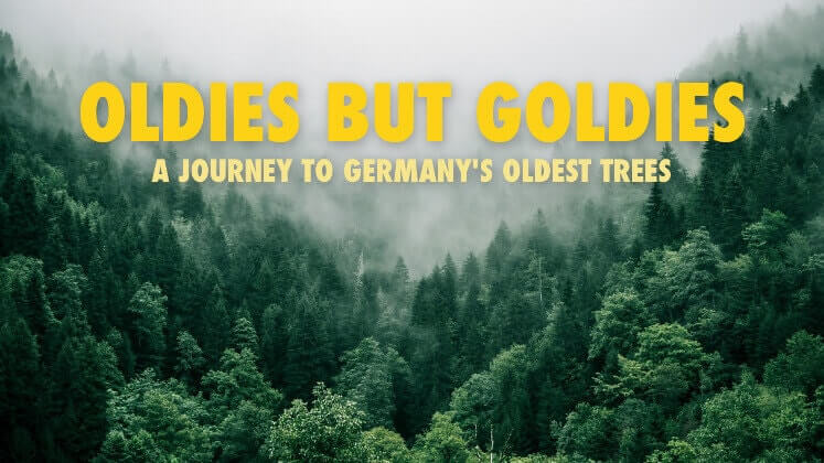 documentary