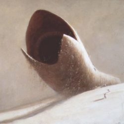 Profile picture of Duneworm